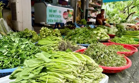 Giá rau đắt đỏ sau bão Yagi