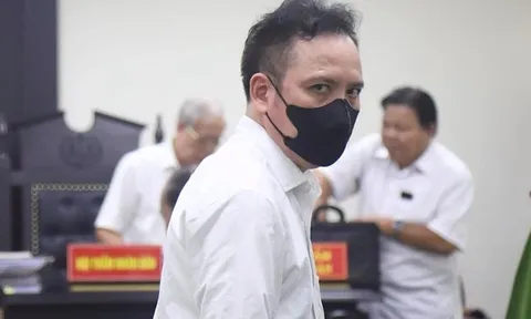 Lừa đảo Chủ tịch Tân Hoàng Minh, cựu vụ trưởng nhận án chung thân