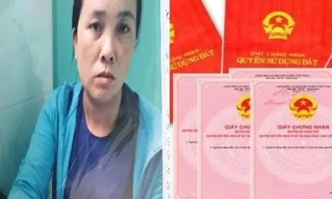 Lý do cựu Phó chủ tịch Hội Chữ thập Đỏ tỉnh Bình Dương bị bắt