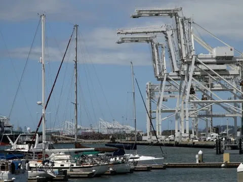 Không bến cảng nào trên thế giới có thể một mình chuyển đổi xanh