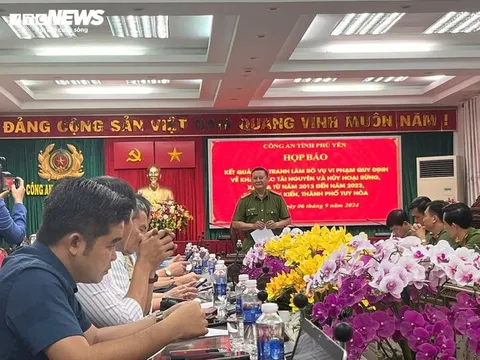 Thủ đoạn xảo quyệt của 'ông trùm' khai thác cát, hủy hoại rừng ở Phú Yên