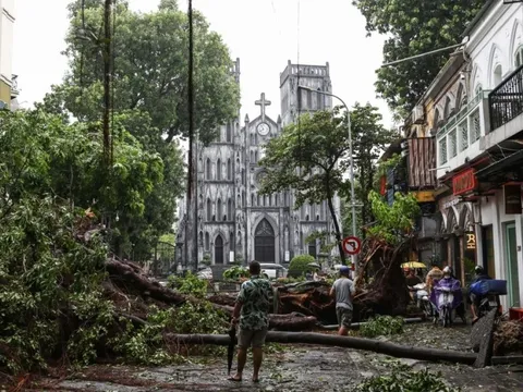 Yêu cầu bảo hiểm bồi thường thiệt hại do bão Yagi chậm nhất 12/9