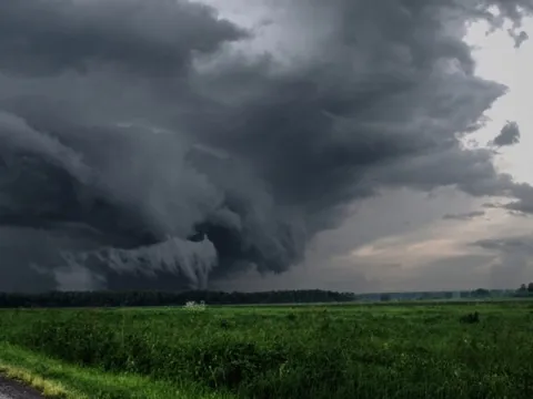 AI dự báo được bão trước 10 ngày