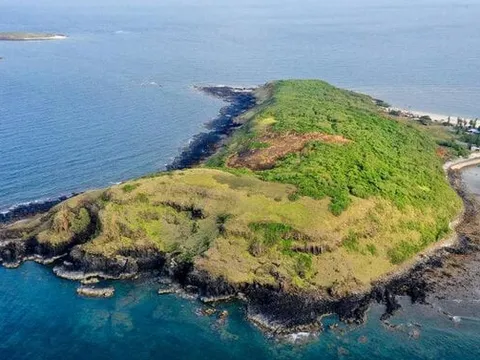 Khám phá thiên nhiên xanh mát và nguyên sơ ở đảo Hòn Chùa Phú Yên