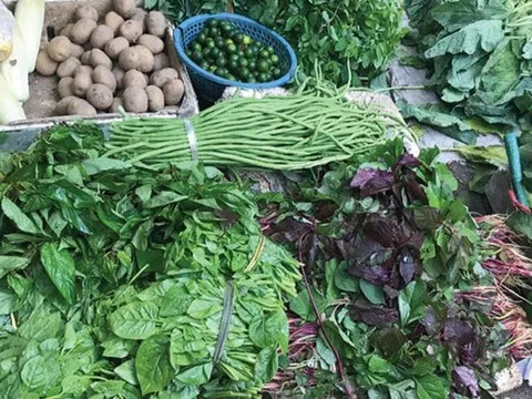 Hà Nội: 130.000 đồng 1 quả bí xanh, bà nội trợ choáng váng