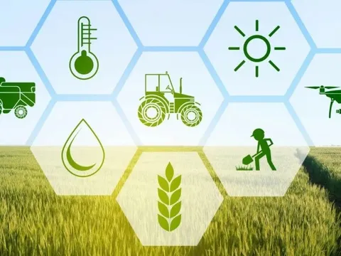 Đối tác nước ngoài trả giá cao cho sản phẩm sản xuất xanh, nhưng doanh nghiệp vẫn gặp khó