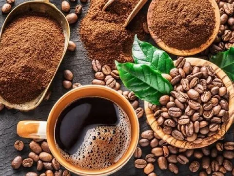 Giá cà phê hôm nay 19/9: Tăng trở lại ở cả trong nước và thế giới